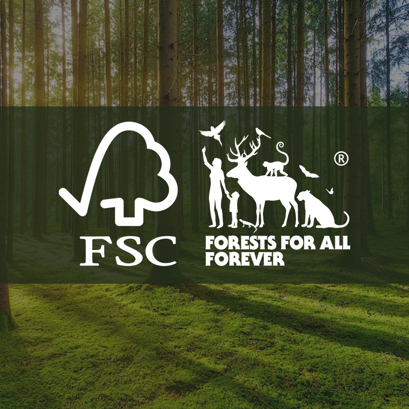 fsc tieu chuan rung