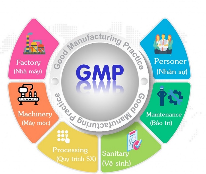 GMP Certification