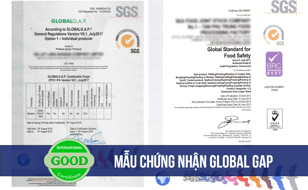 mau chung nhan globalgap