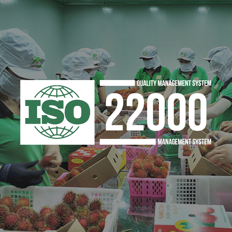 chứng nhận iso 22000
