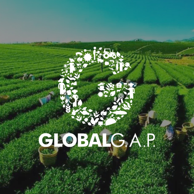 globalgap