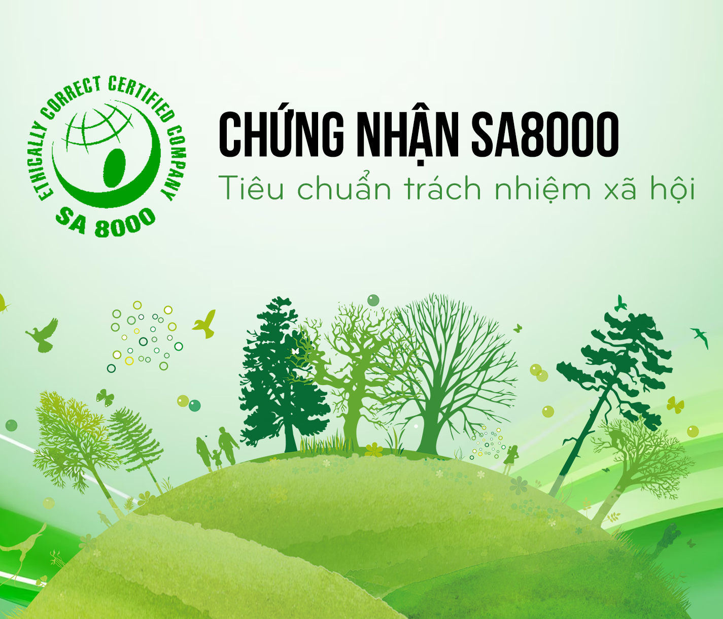 chung nhan sa8000
