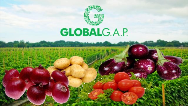 Global Gap 1 Global Gap 1