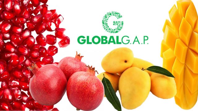 Global Gap 2 Global Gap 2