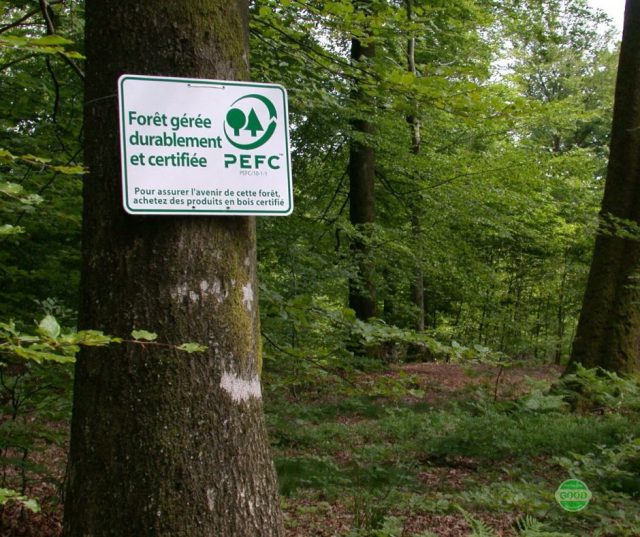 chung-nhan-rung-pefc