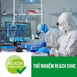 Thử nghiệm REACH SVHC