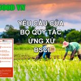 cac yeu cau cua bsci