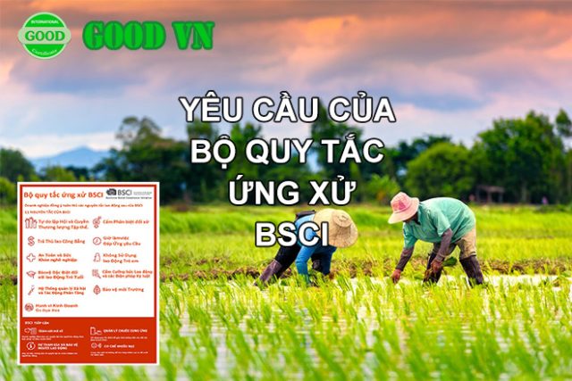 cac yeu cau cua bsci