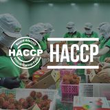 dịch vụ chứng nhận haccp