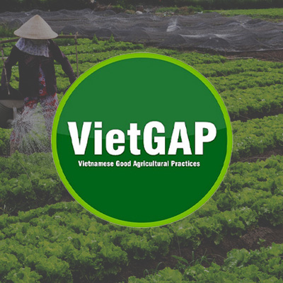 thumbnail vietgap