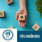 tiêu chuẩn bsci