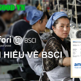 tieu chuan bsci