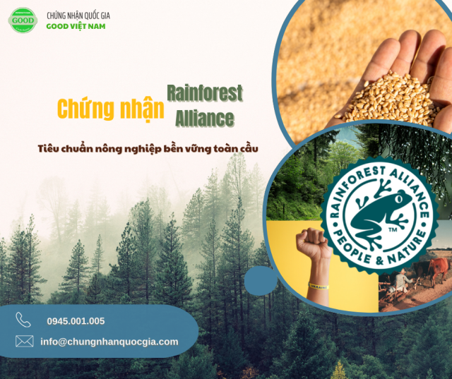 Rainforest Alliance tieu chuan nong nghiep ben vung
