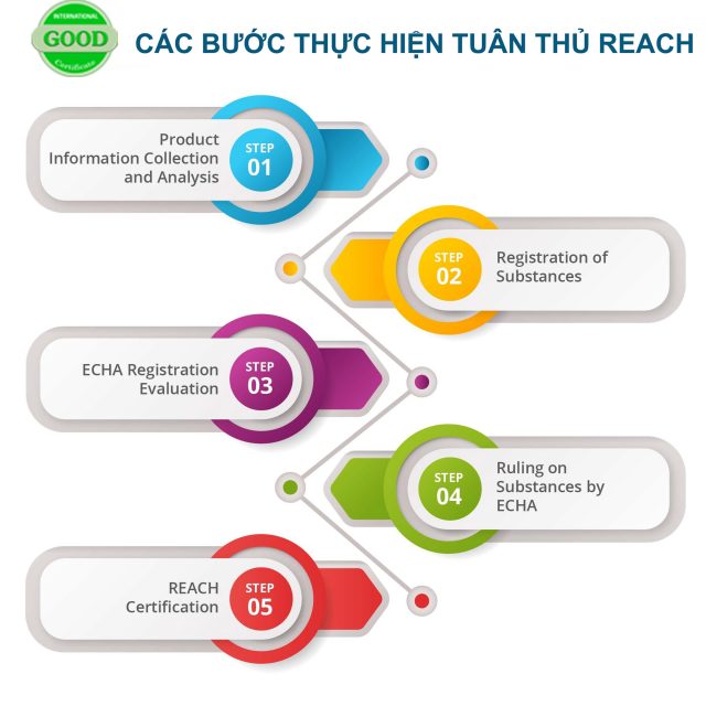 cac buoc dat chung nhan reach
