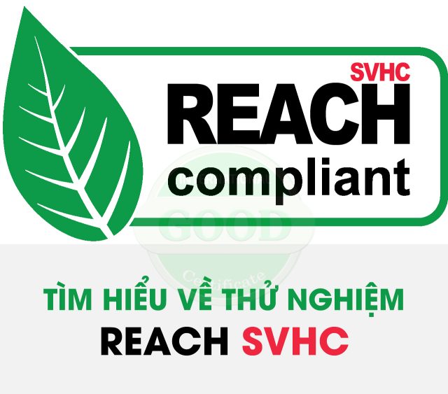 thử nghiệm reach svhc thử nghiệm reach svhc