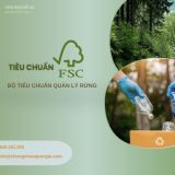 chung fsc la gi
