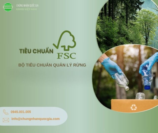 chung fsc la gi